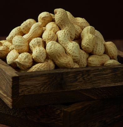 花生壳肥料如何制作