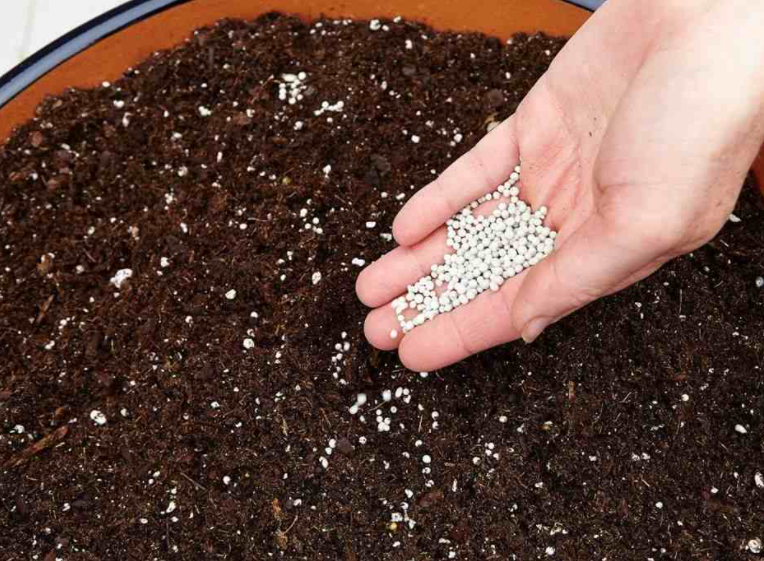 饼肥可以直接拌土种花吗