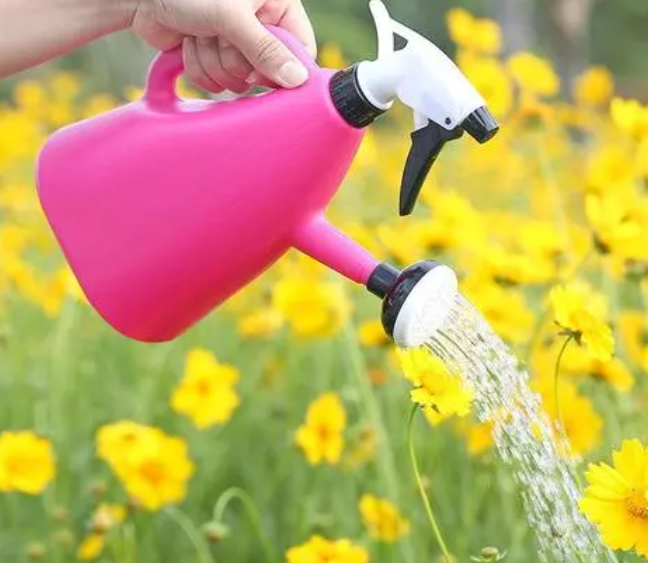 什么东西浇花最好