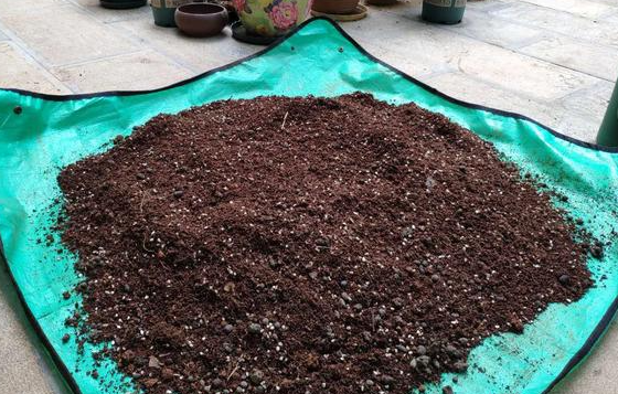 自制花卉营养土