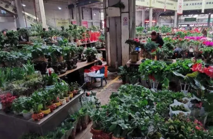 中国4大花卉批发市场
