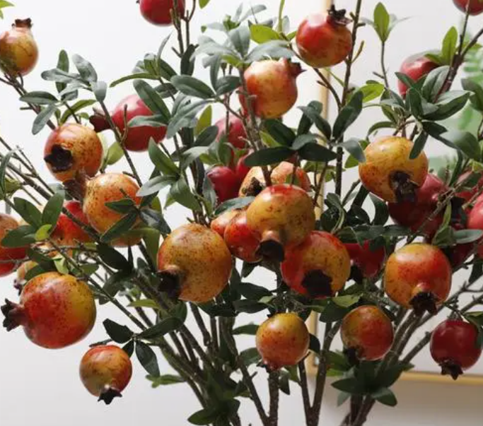 石榴树枝能插活吗