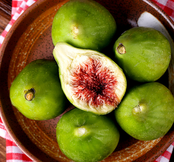 无花果树能种在家里吗