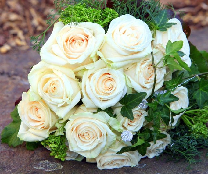 玫瑰花种在哪风水最好