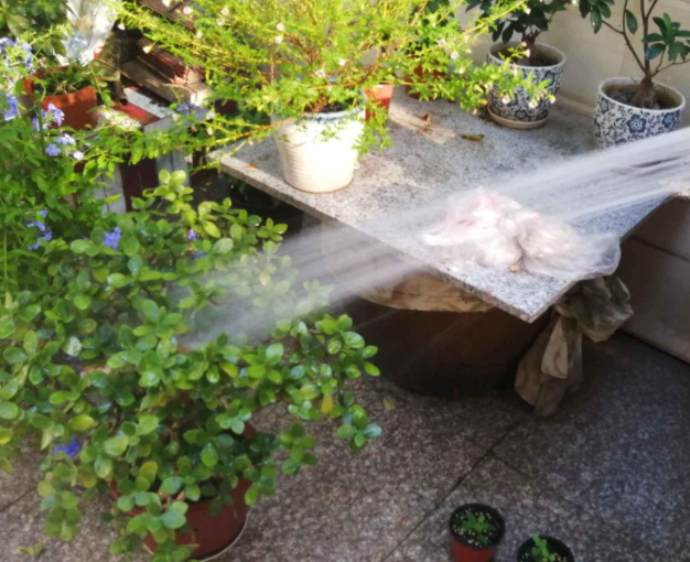 用尿浇花会不会臭