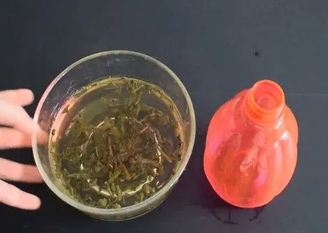 茶叶水能不能浇树