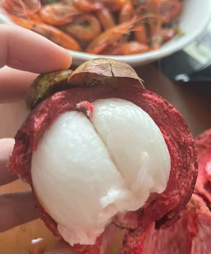 山竹什么时候开花结果