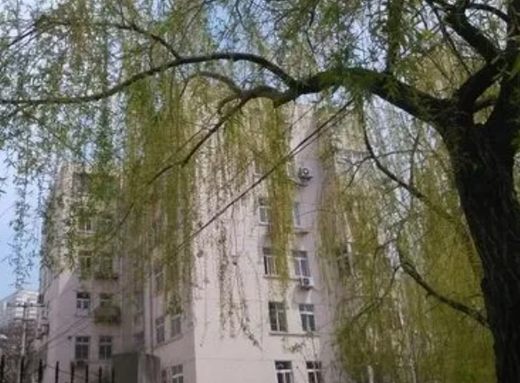 柳树不能栽在住宅哪个位置