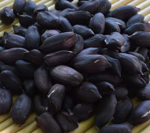 黑花生亩产多少斤