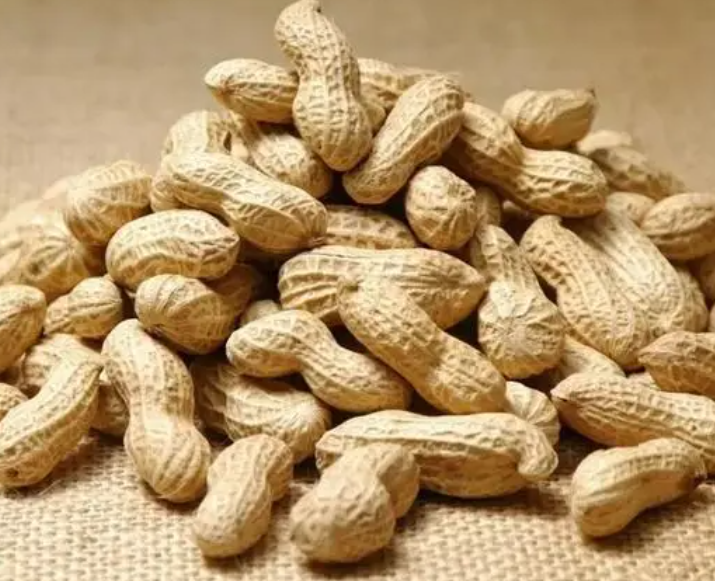 花生一般几月份挖