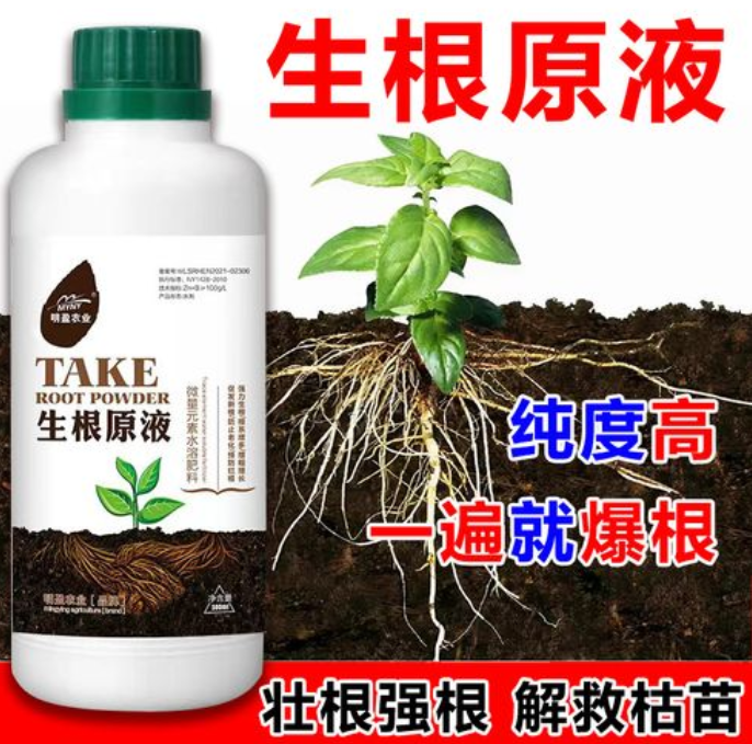 用什么药能让树快速生根