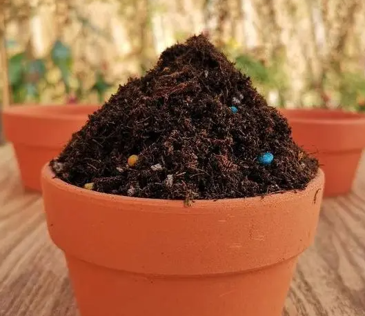 什么土养花最好