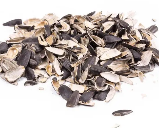 用葵花籽壳养花的好处是什么呢