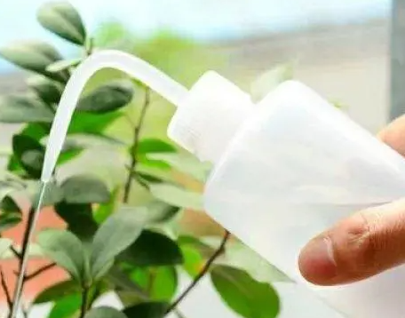 阿司匹林可以用来浇花和养花吗