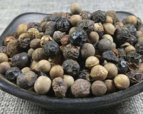 香樟树种子能吃吗