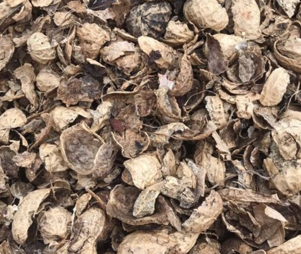 花生壳拌土能养花吗