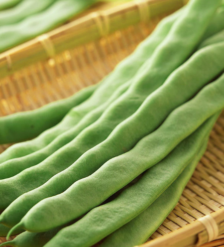 芸豆花期干旱能浇水吗