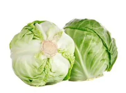 莲花白的正确育苗方法是什么呢