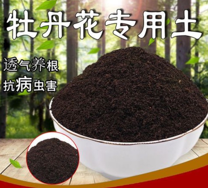 牡丹花用什么土种植最好