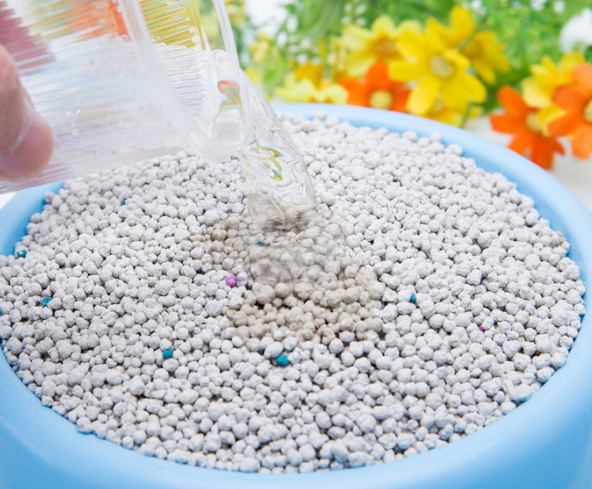 猫砂能当土壤种花吗