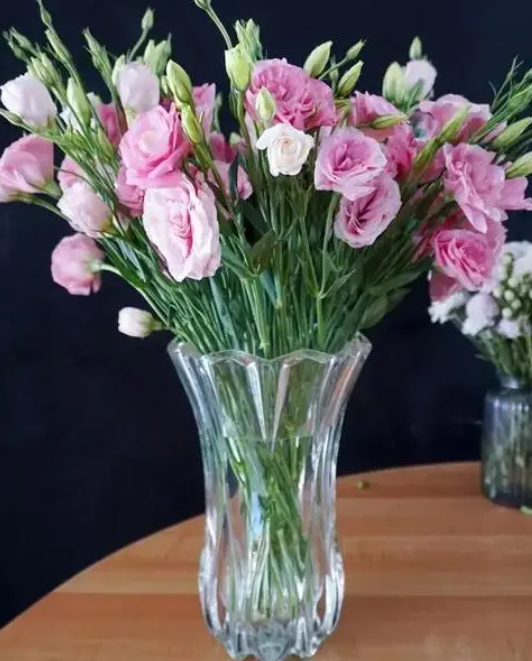 桔梗花水养可以养多久