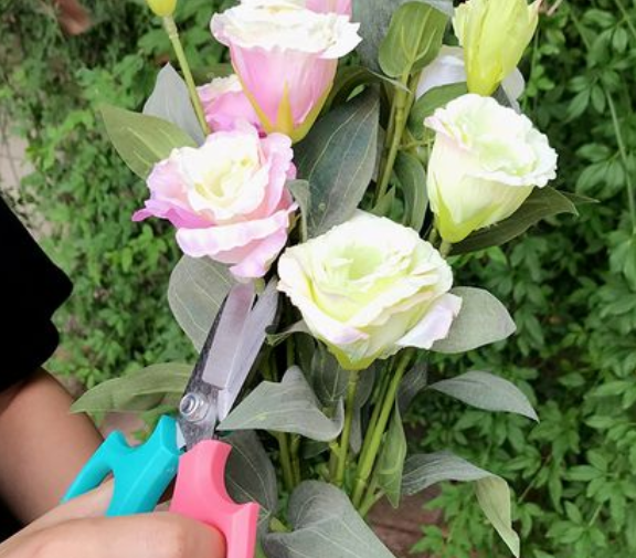 鲜花修剪花枝的技巧