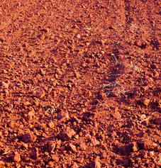 红土可以养花吗