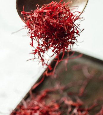 藏红花种球的种植方法