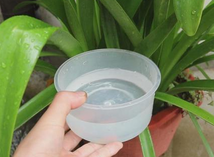 空调水浇花有营养吗