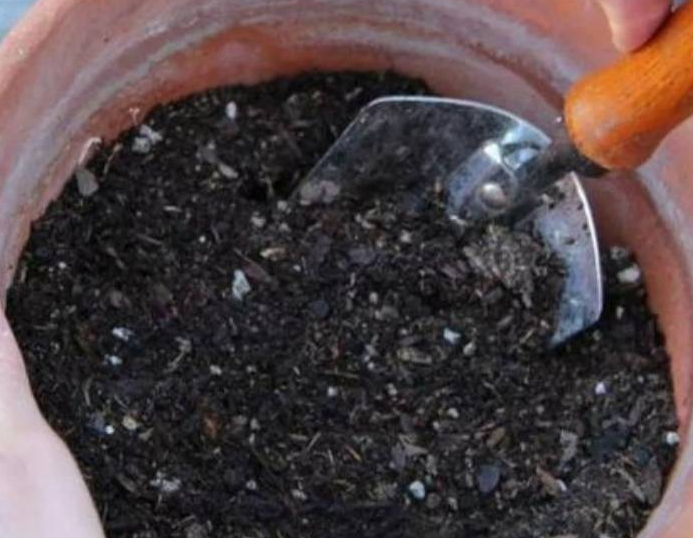 种花用哪种土壤最合适