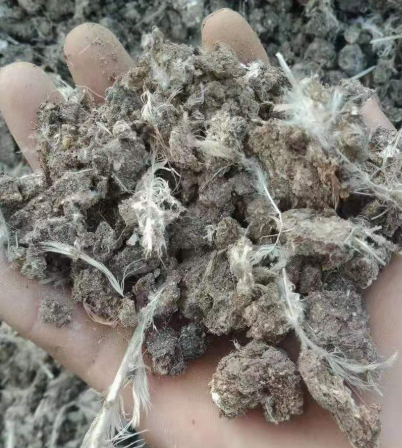 鸡粪和猪粪哪个做花肥更好