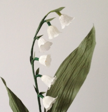 铃兰冬天开花吗