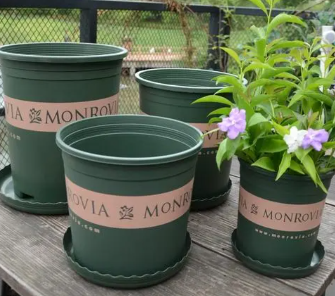 栽花的时候花盆底垫什么最好