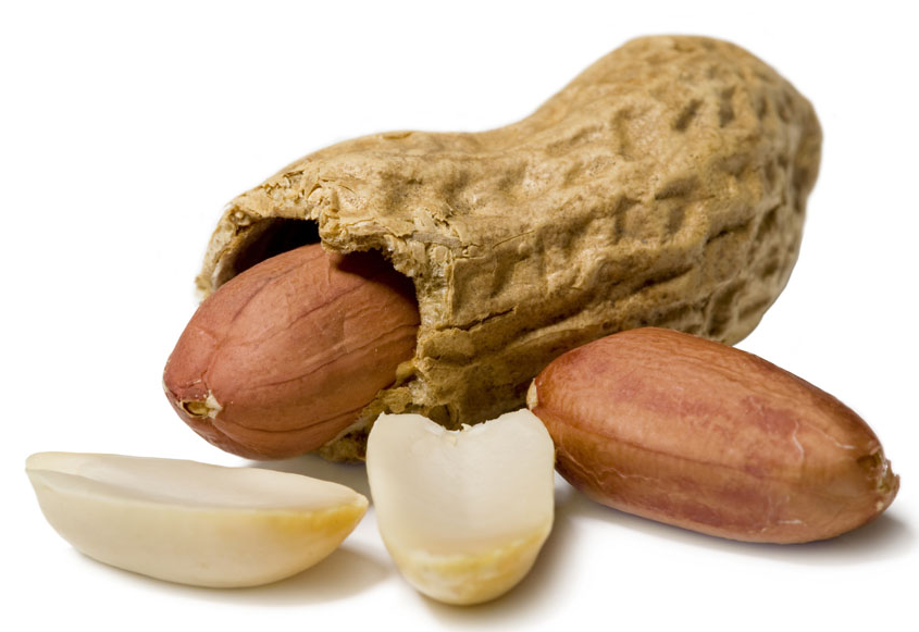 花生的生长条件是什么