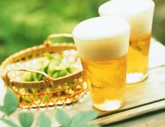 啤酒浇树会不会死