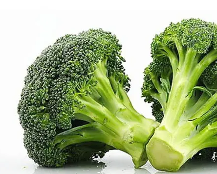 西兰花育苗期的管理