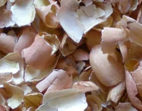 花生皮打碎成粉能当花肥吗