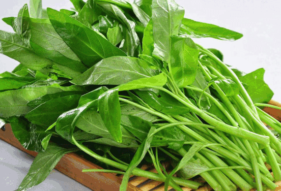 空心菜开花结籽能不能当种子