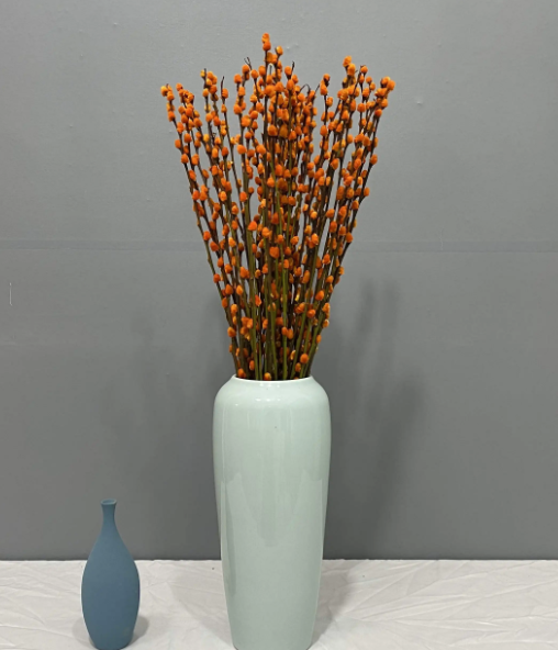 干花银柳养殖方法