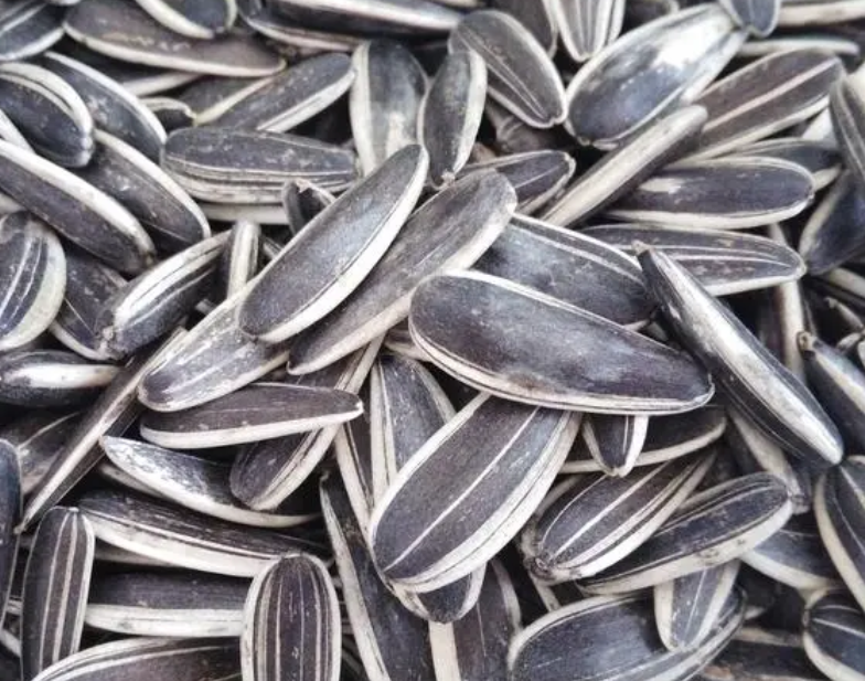 生葵花籽每天吃多少合适