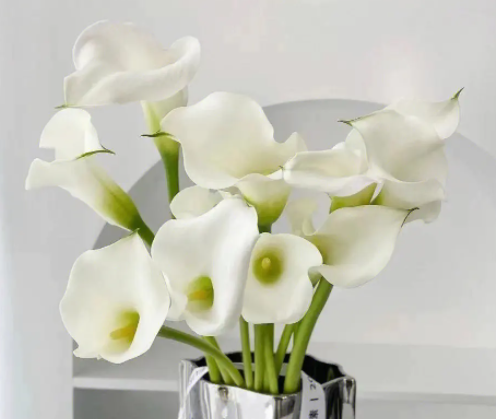 马蹄莲的复花方法是什么呢