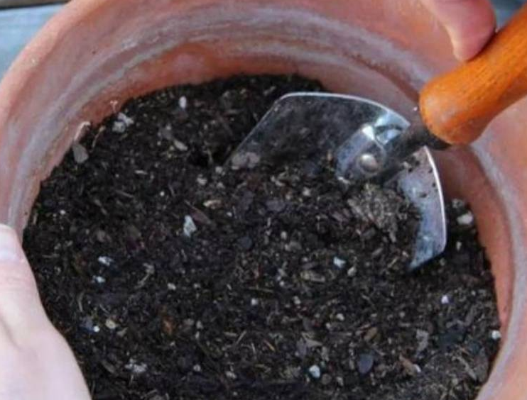 种花的土怎么制作