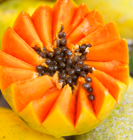 木瓜树要几年才能结果