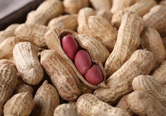 花生是什么性质的食物