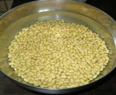 黄豆水浇花稀释多少倍