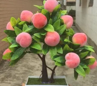 盆栽桃树怎么养