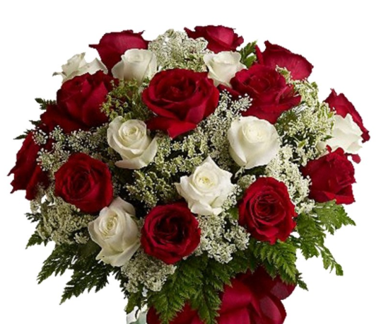 玫瑰花种子怎么种容易发芽