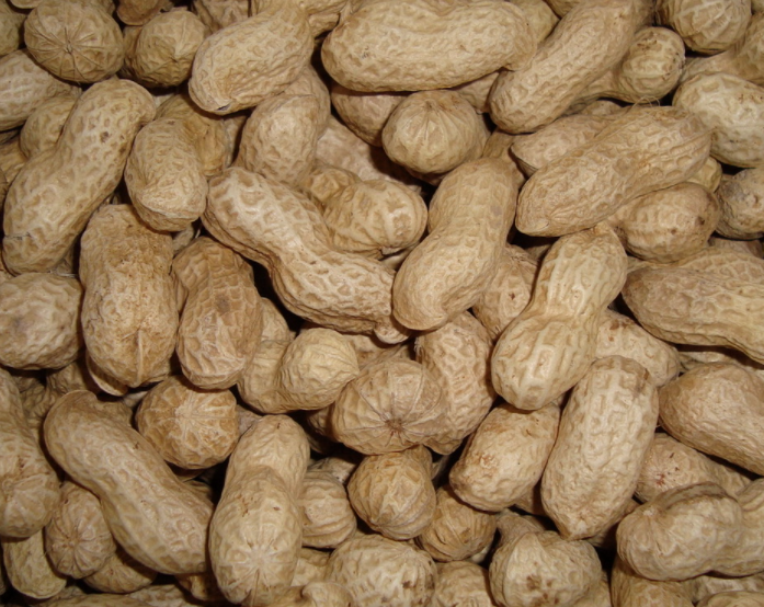 花生可以代替蔬菜吗