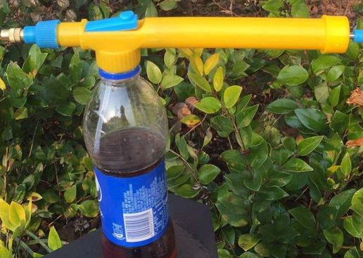 可乐过期能浇花吗