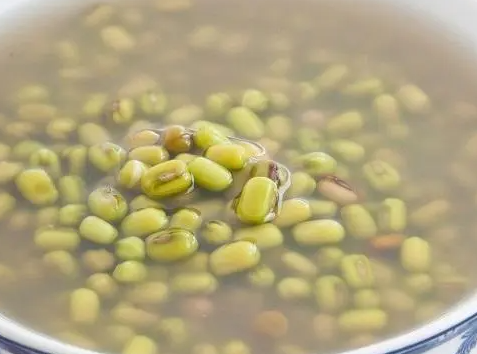 煮熟的绿豆做肥料养花好吗